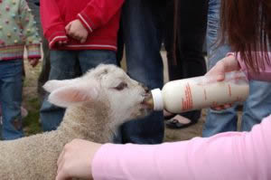Fun and Learning in the Countryside