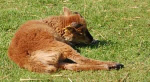 Your School Visit Will Be A Success